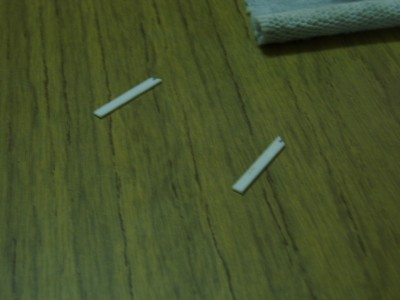 PB300034.JPG