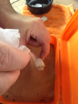 un poco de cola blanca diluida en agua y un chorro de arena