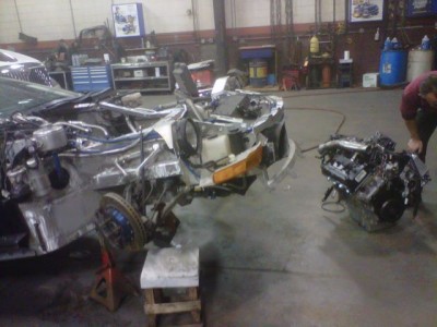 shelby1.jpg