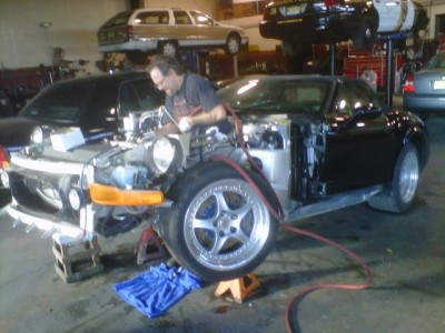 shelby3.jpg
